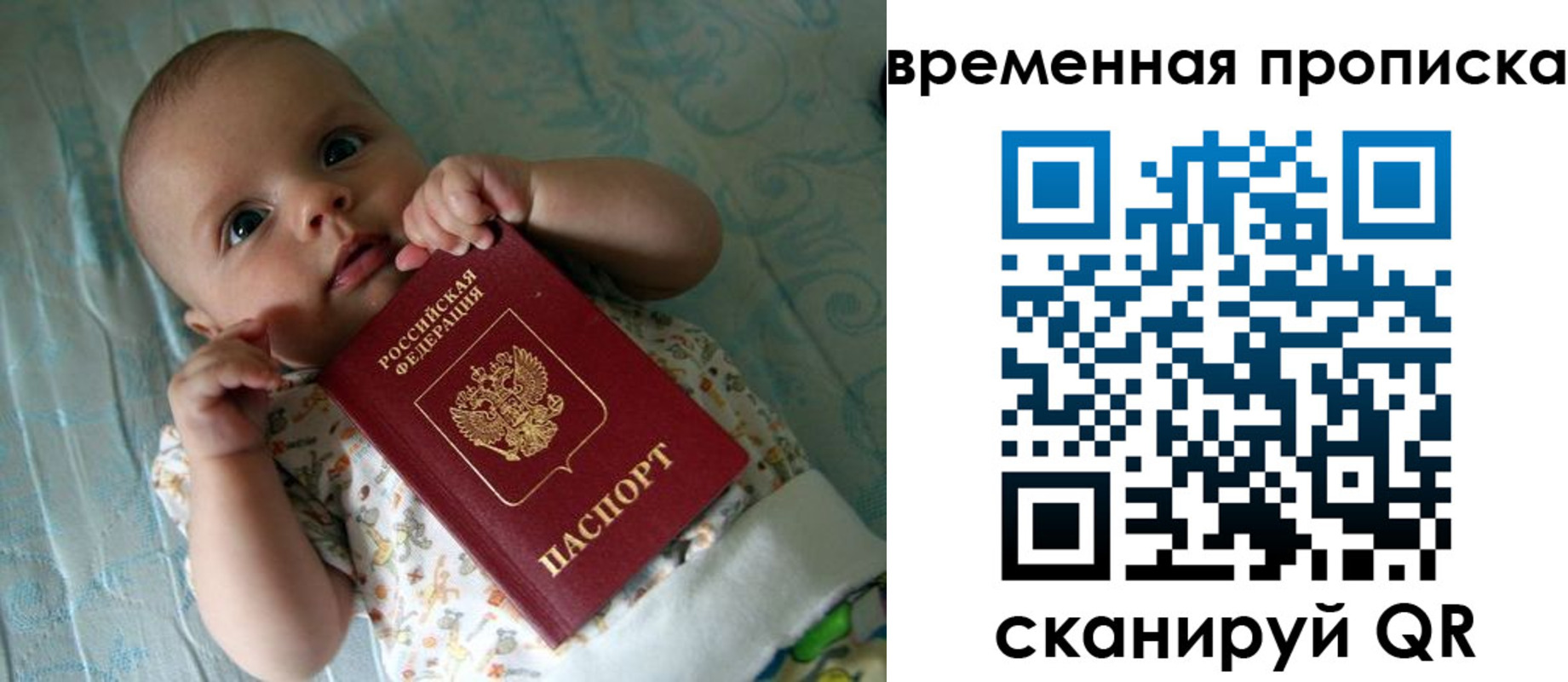 найти адрес прописки в Камчатском крае