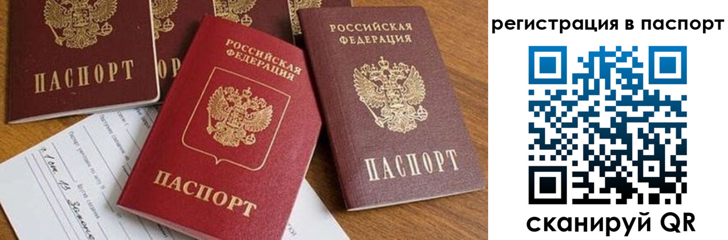 прописка в Камчатском крае